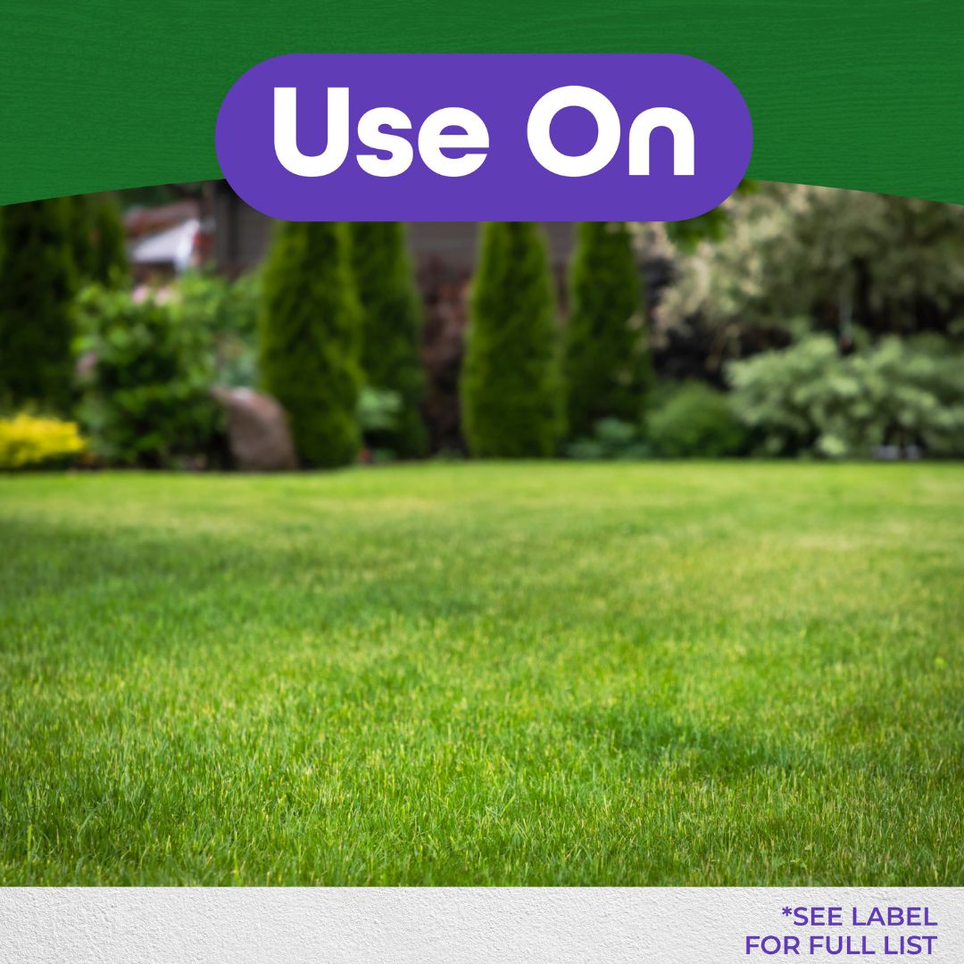 Weed Beater Plus Crabgrass & Broadleaf Weed Killer Spray – Bonide – 32 oz